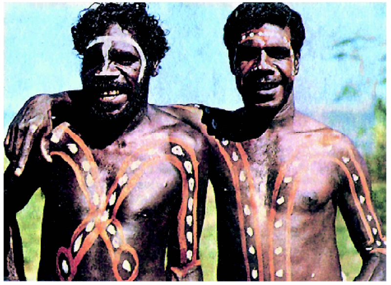 Файл:АВСТРАЛОИД РАСАСЫ37.png