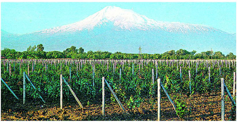 Файл:АРМЕНИЯ 17.png