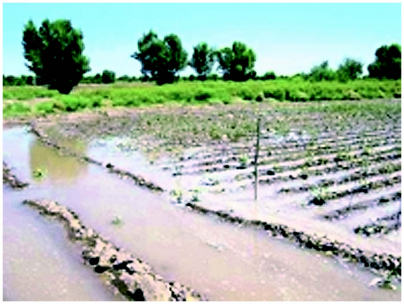 Файл:АГРОЛАНДШ АФТ1.png